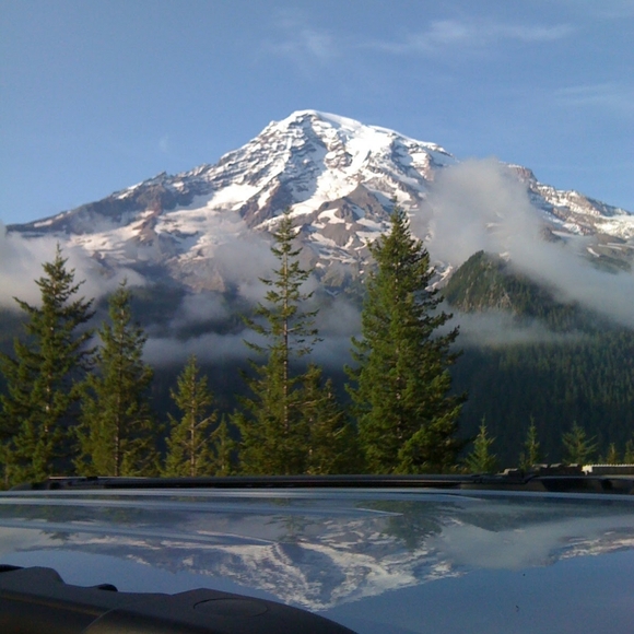 Meet your Posher, Stephanni - Picture 15 of 16